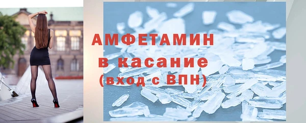 индика Краснотурьинск