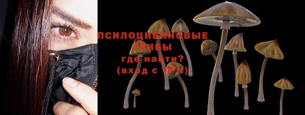 индика Краснотурьинск