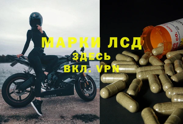 индика Краснотурьинск
