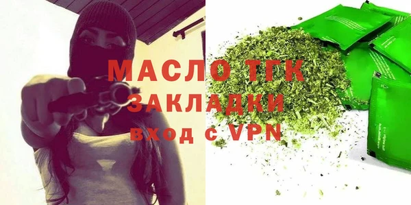индика Краснотурьинск