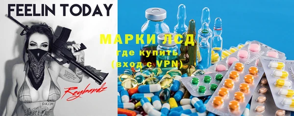 индика Краснотурьинск