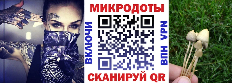 гидра Облучье Псилоцибиновые грибы GOLDEN TEACHER
