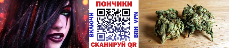 Бошки Шишки сатива Облучье